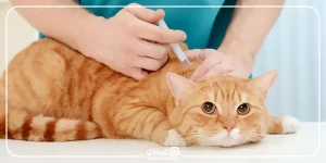 برنامه واکسیناسیون حیوانات خانگی