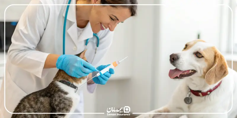 واکسیناسیون حیوانات خانگی چه اهمیتی دارد؟