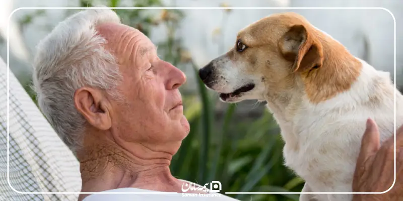 مراقبت از حیوانات خانگی مسن