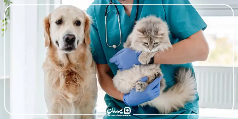 عقیم‌سازی حیوانات خانگی