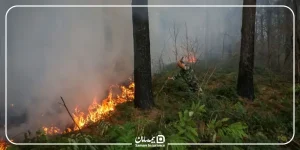 همه چیز درباره جرم آتش سوزی عمدی