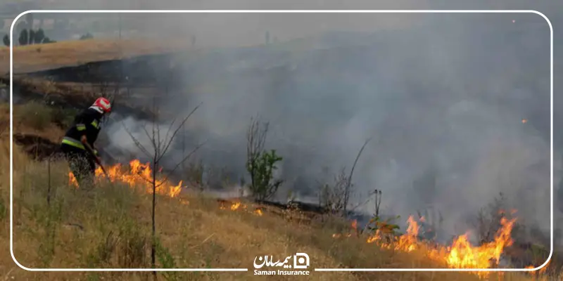 روشهای شناسایی آتشسوزی عمدی