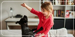 ثبت خسارت بیمه حیوانات خانگی