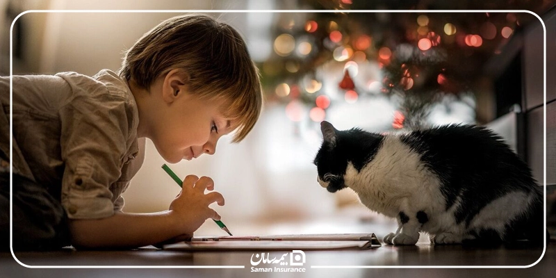 آیا بیمه حیوانات خانگی قابل انتقال است؟
