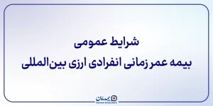 شرایط عمومی بیمه عمر زمانی انفرادی ارزی بین المللی