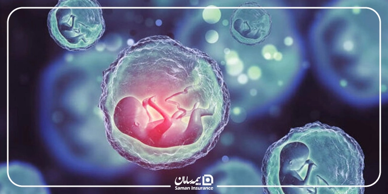 فریز تخمک با بیمه